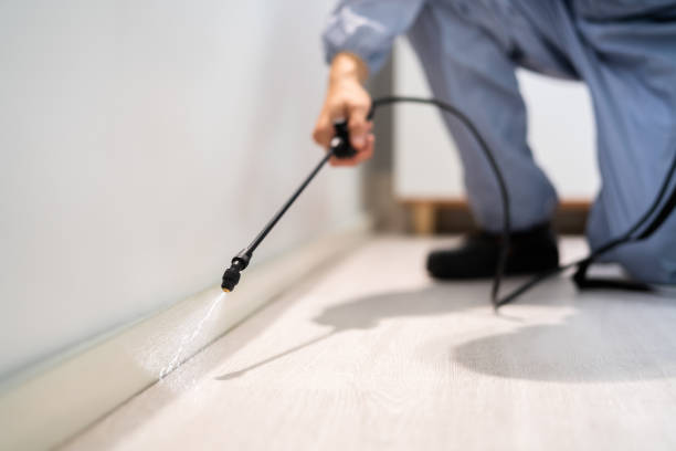 Licensed Mosquito Control service in Amory, MS - Show Me Pest Control