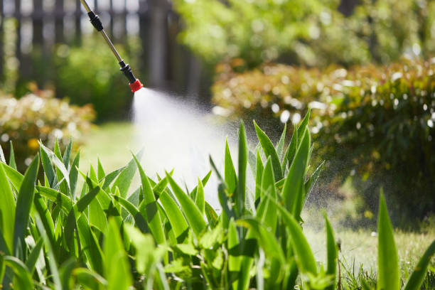 24/7 Emergency Mosquito Control experts in Amory, MS