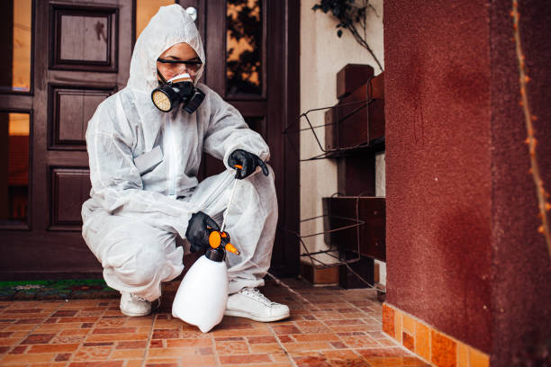 Reliable Mosquito Control contractor in Amory, MS by Show Me Pest Control